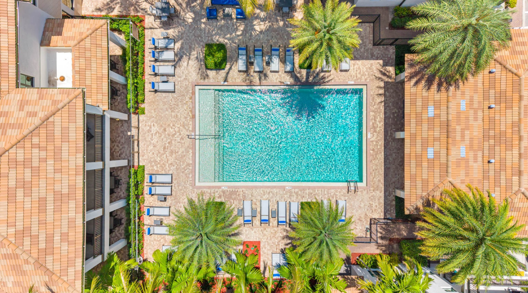 an aerial of a pool and trees