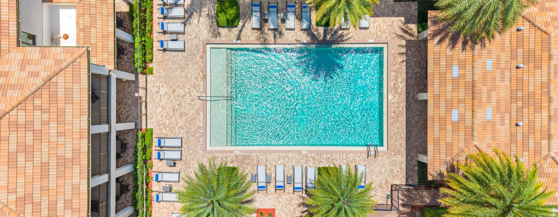 Resort-style swimming pool with lounge seating